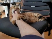 A Compilation of That Get You Excited 4/16