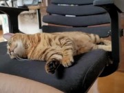 A Compilation of That Get You Excited 6/16