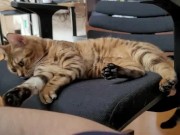 A Compilation of That Get You Excited 7/16