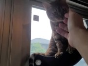 A Compilation of That Get You Excited 8/16