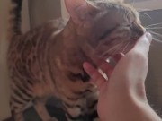 A Compilation of That Get You Excited 9/16