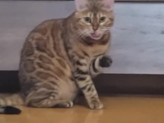 A Compilation of That Get You Excited