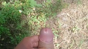 Young big dick getting hard in the woods