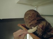 The play starts.cat 11/16