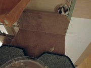 The play starts.cat 7/16