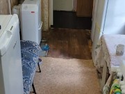 It seems that it will never get bored 9/16