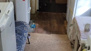 It seems that it will never get bored