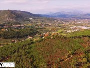 TUSHY Hot babe dped in threesome 1/16