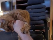 Playing with a Beloved .... 