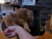 Playing with a Beloved ....  - Screenshot 12 of 16 - Pussy