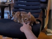 Playing with a Beloved ....  - Screenshot 14 of 16 - Pussy