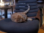 Playing with a Beloved ....  - Screenshot 15 of 16 - HD