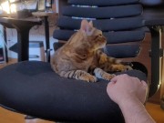 Playing with a Beloved ....  - Screenshot 16 of 16 - Pussy
