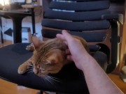Playing with a Beloved ....  - Screenshot 2 of 16 - Pussy