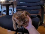 Playing with a Beloved ....  - Screenshot 3 of 16 - HD