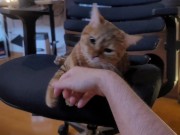 Playing with a Beloved ....  - Screenshot 4 of 16 - Pussy