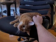 Playing with a Beloved ....  - Screenshot 5 of 16 - HD