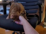 Playing with a Beloved ....  - Screenshot 6 of 16 - Pussy