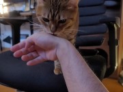 Playing with a Beloved ....  - Screenshot 8 of 16 - Pussy