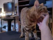 Playing with a Beloved ....  - Screenshot 9 of 16 - HD