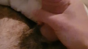 Big dick squirts with cum