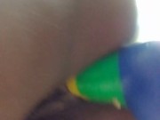 Lima bean green  11/16