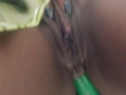 Lima bean green  7/16