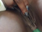 Lima bean green  8/16