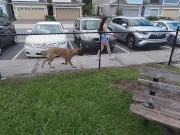 STRANGER GIVES BLOWJOB IN DOG PARK 4K 19YO TWITTER THEGORILLAGRIPP 1/16