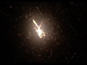 CHILL WITH ME (ASMR) 6/16