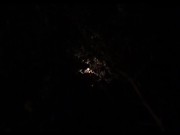 CHILL WITH ME (ASMR) 8/16