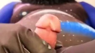 Lucer cuming