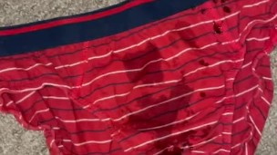 Pee on my red briefs and the carpet