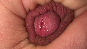 PRECUM PLAY - MACRO VIEW 1 | VANYA VENIKOV