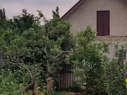 It's always nice to do something in the garden 11/16