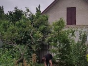 It's always nice to do something in the garden 12/16