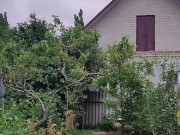 It's always nice to do something in the garden 13/16