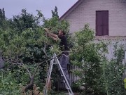 It's always nice to do something in the garden 16/16