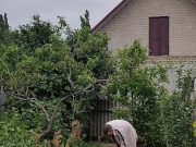 It's always nice to do something in the garden 3/16