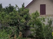 It's always nice to do something in the garden 4/16