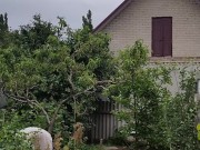 It's always nice to do something in the garden 6/16