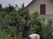 It's always nice to do something in the garden 7/16