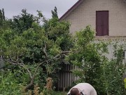 It's always nice to do something in the garden 8/16