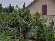 It's always nice to do something in the garden 9/16