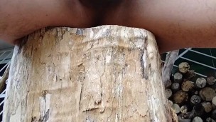 Me pajeo en el patio de mi casa