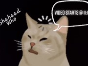 Las Vegas Nights 1/16