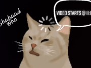 Las Vegas Nights 3/16