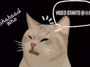 Las Vegas Nights 4/16