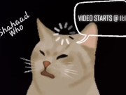 Las Vegas Nights 6/16