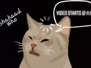 Las Vegas Nights 7/16